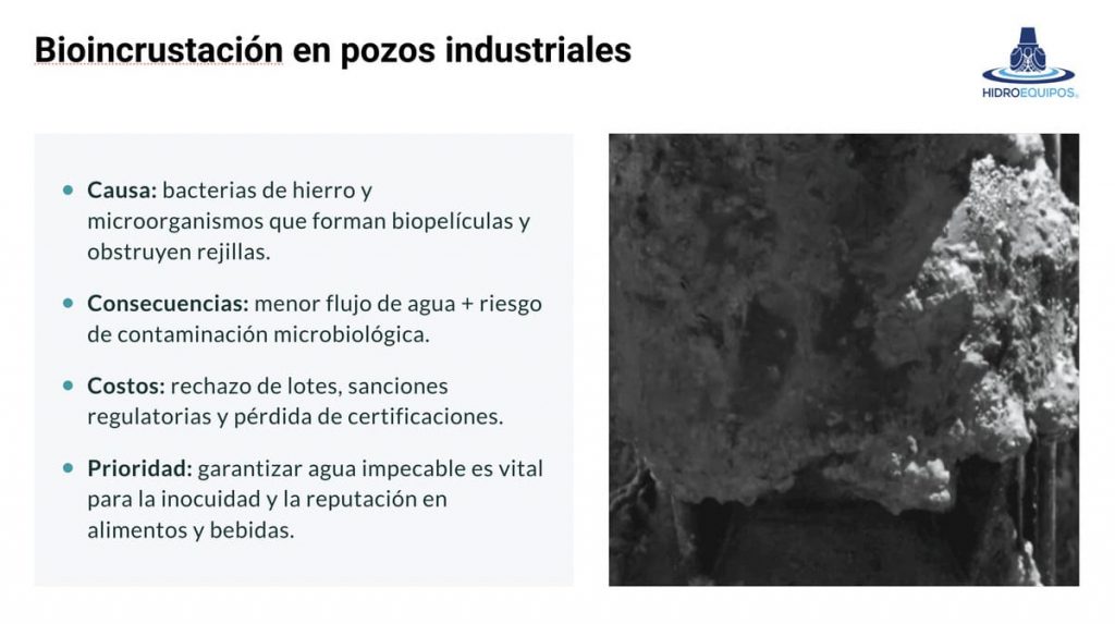 Bioincrustacion en pozos industriales